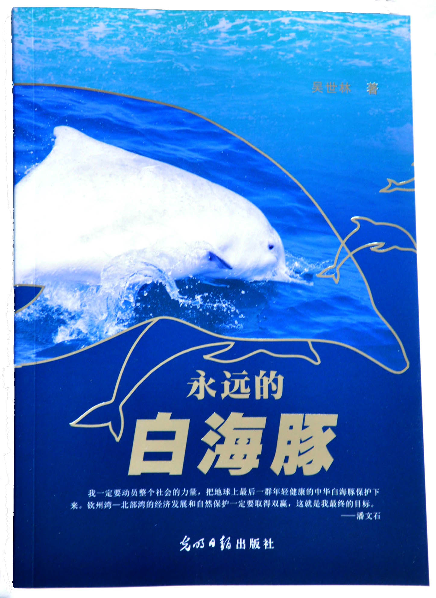 永遠的白海豚1(小）.jpg