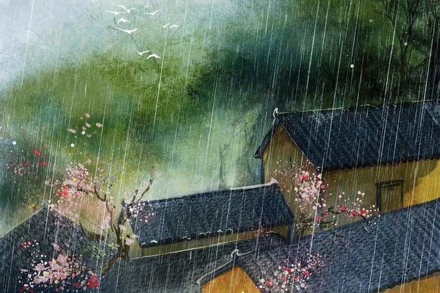 春雨 春雨