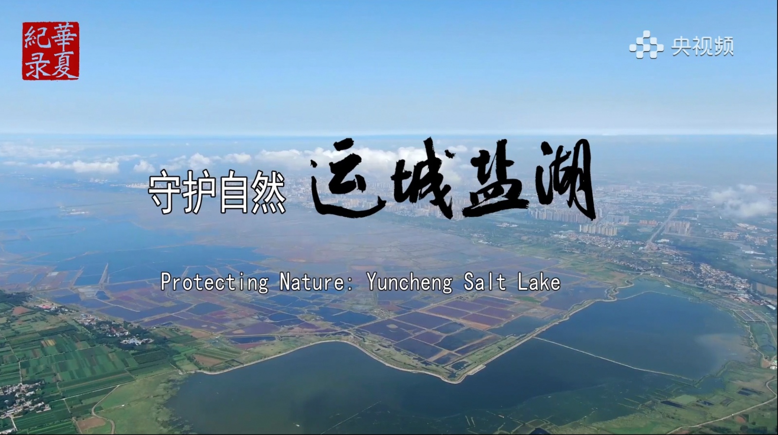 央視頻